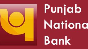 Punjab National Bank shares